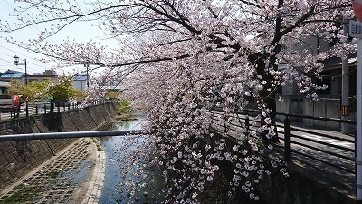DSC_0140.jpg