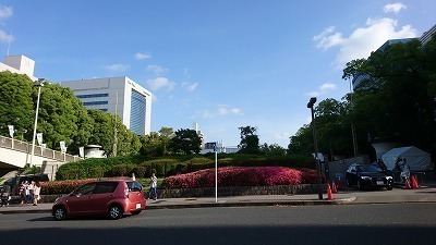 DSC_0451.jpg