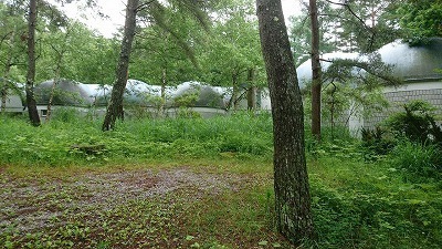DSC_0643.jpg