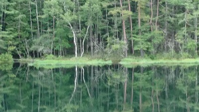 DSC_0657.jpg