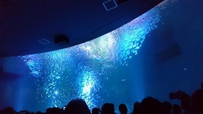 DSC_1075.jpg