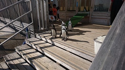 DSC_1088.jpg