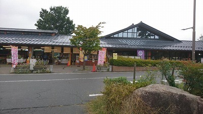 DSC_1110.jpg