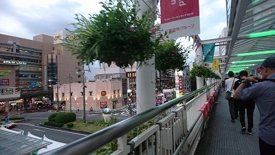 DSC_1118.jpg