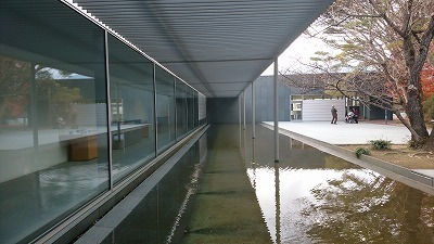 DSC_1404.jpg