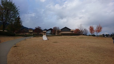 DSC_1406.jpg