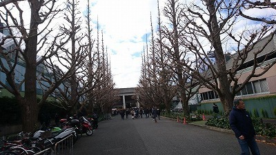 DSC_1606.jpg