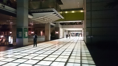 DSC_2891.jpg