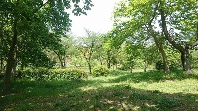 DSC_6591.jpg