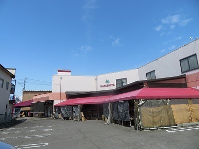 IMG_4513.jpg