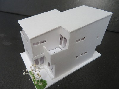 IMG_4683.jpg