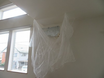IMG_6523.jpg