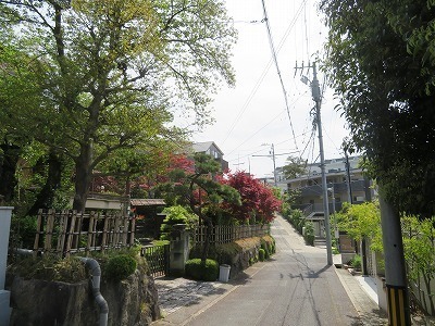 IMG_6636.jpg