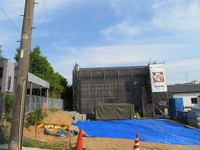 IMG_7014.jpg