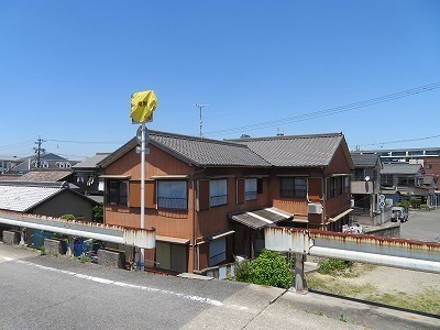 IMG_7164.jpg