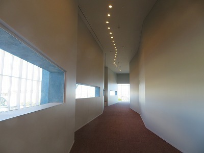 IMG_7498.jpg