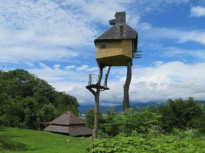 IMG_8118.jpg