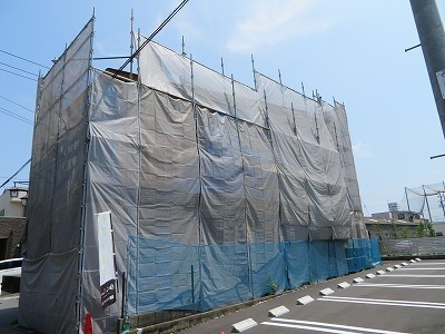 IMG_8327.jpg