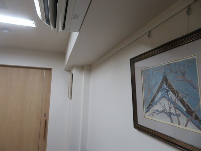 IMG_8550.jpg