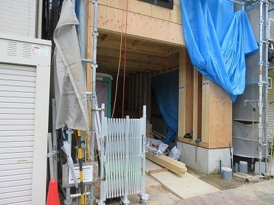 IMG_8565.jpg