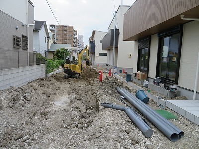 IMG_9594.jpg