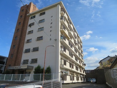 IMG_9699.jpg